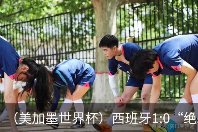 （美加墨世界杯）西班牙1:0“绝杀”葡萄牙 C罗结束世界杯征程